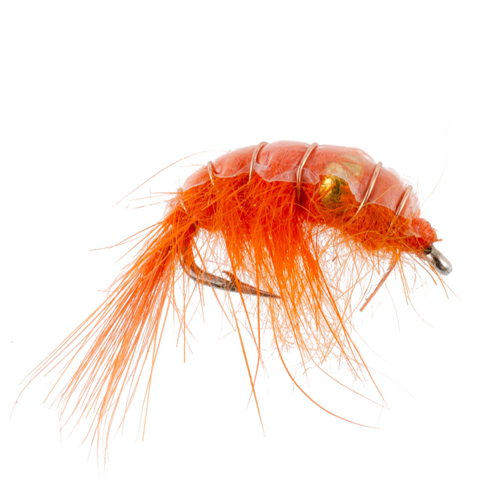 Assortiment de crevettes scud perlées - 1 douzaine - Taille 16