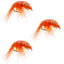 3 Pack Orange Beaded Shrimp Scud Pattern - Size 12 - Tailwater Lake Fly Fishing Nymph Flies