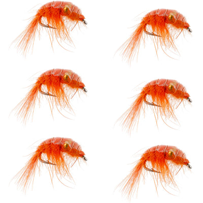 Crevettes Scud Perles Orange - 6 Mouches - Taille 16