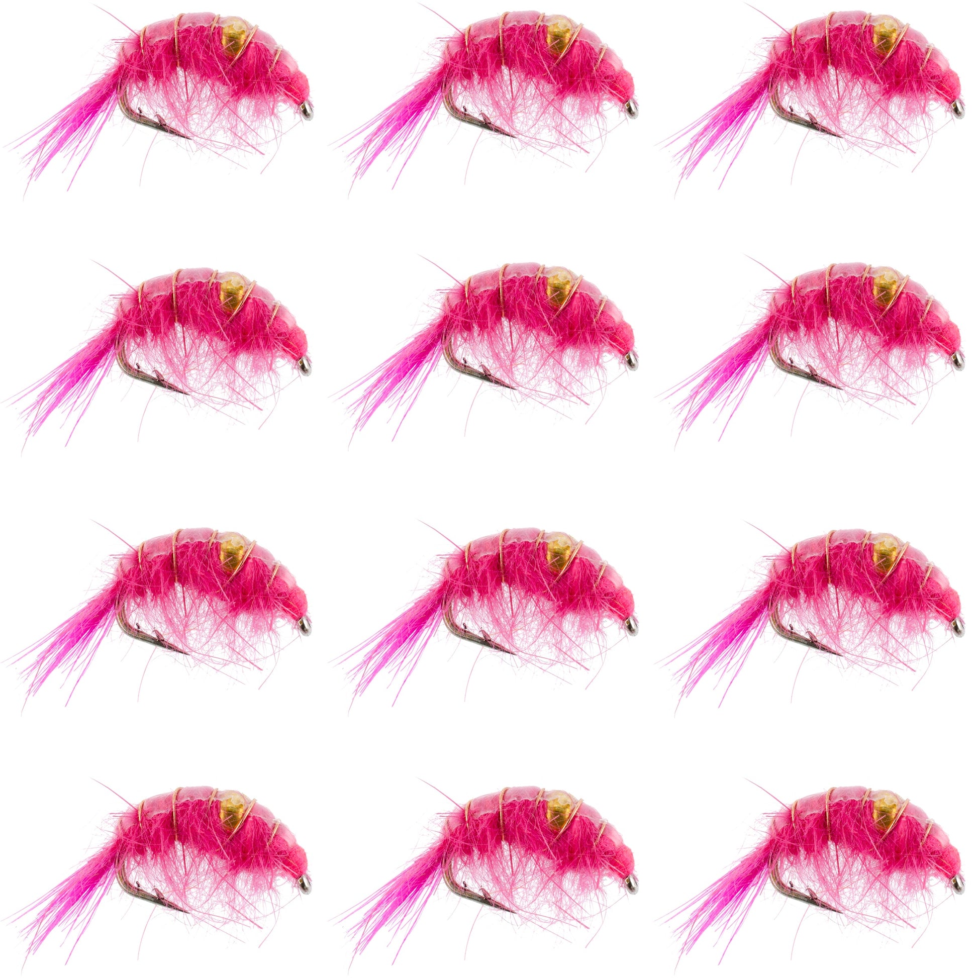 Premium Pink Beaded Scud Nymphs - 12 Pack Size 12 for Tailwater Fishing - Korvel