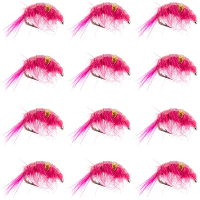 Premium Pink Beaded Scud Nymphs - 12 Pack Size 12 for Tailwater Fishing - Korvel