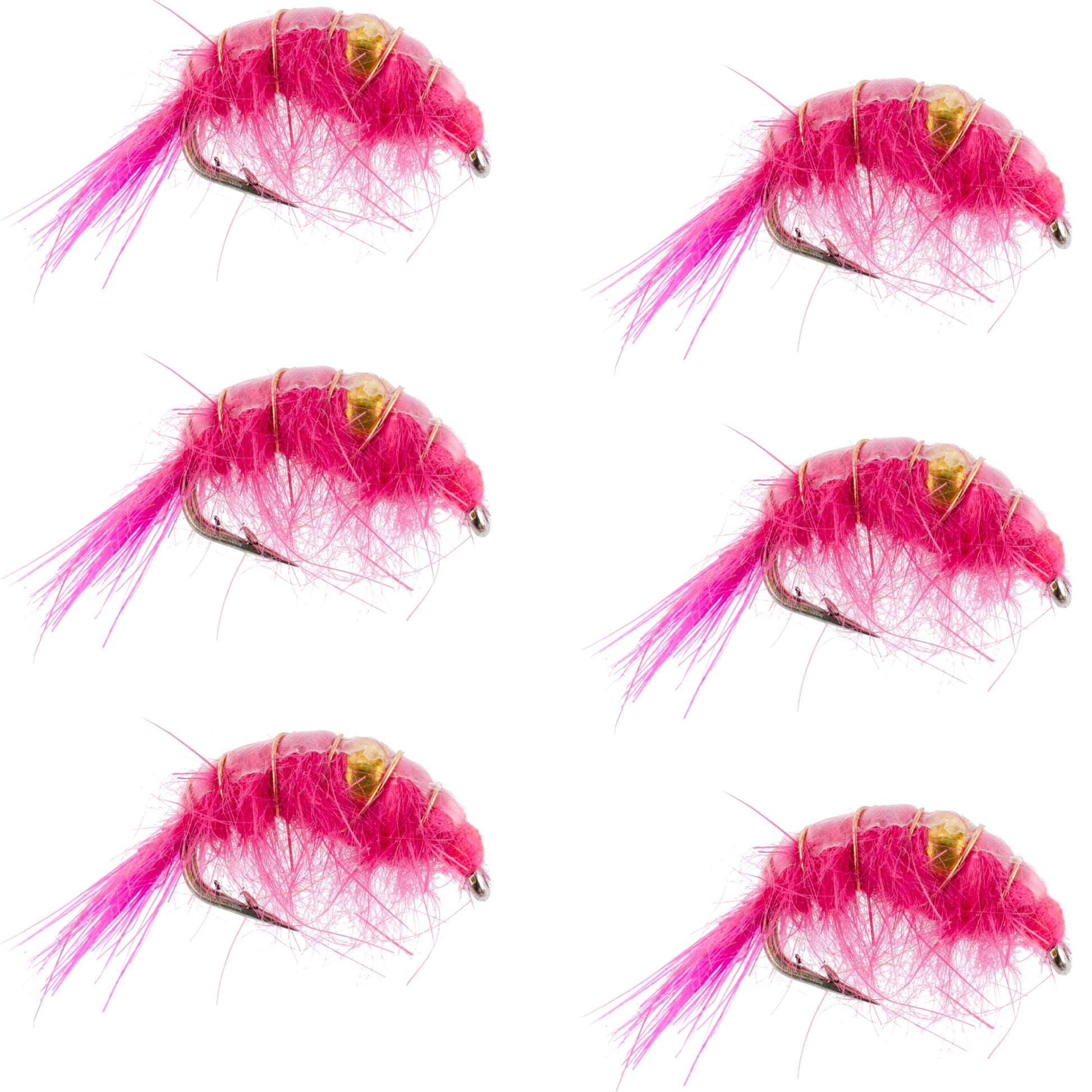 Hand-Tied Pink Shrimp Scud Nymph Flies - 6 Pack - Size 12 for Tailwater Fishing - Korvel