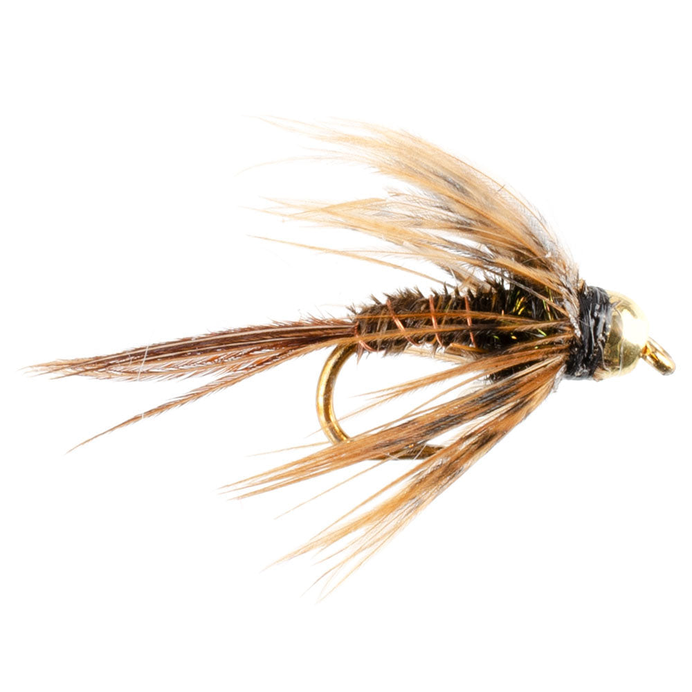 Essential Fly Collection - Bead Head Pheasant Tail Nymph Set - 10 Premium Wet Flies - Sizes 14, 16, 18 - Korvel