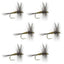 Set of 6 Barbless Blue Winged Olive Dry Flies - Size 14 for Trout Fishing - Korvel