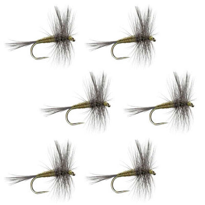 Premium Barbless Blue Winged Olive Dry Flies - Set of 6 Size 18 for Trout Fishing - Korvel