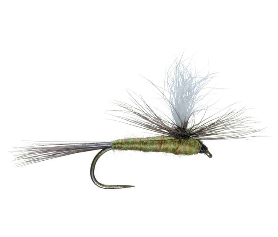 Premium Barbless Parachute Blue Winged Olive Dry Flies - Set of 6 Size 20 for Trout Fishing - Korvel