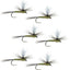 Premium Barbless Parachute Blue Winged Olive Dry Flies - Set of 6 Size 20 for Trout Fishing - Korvel