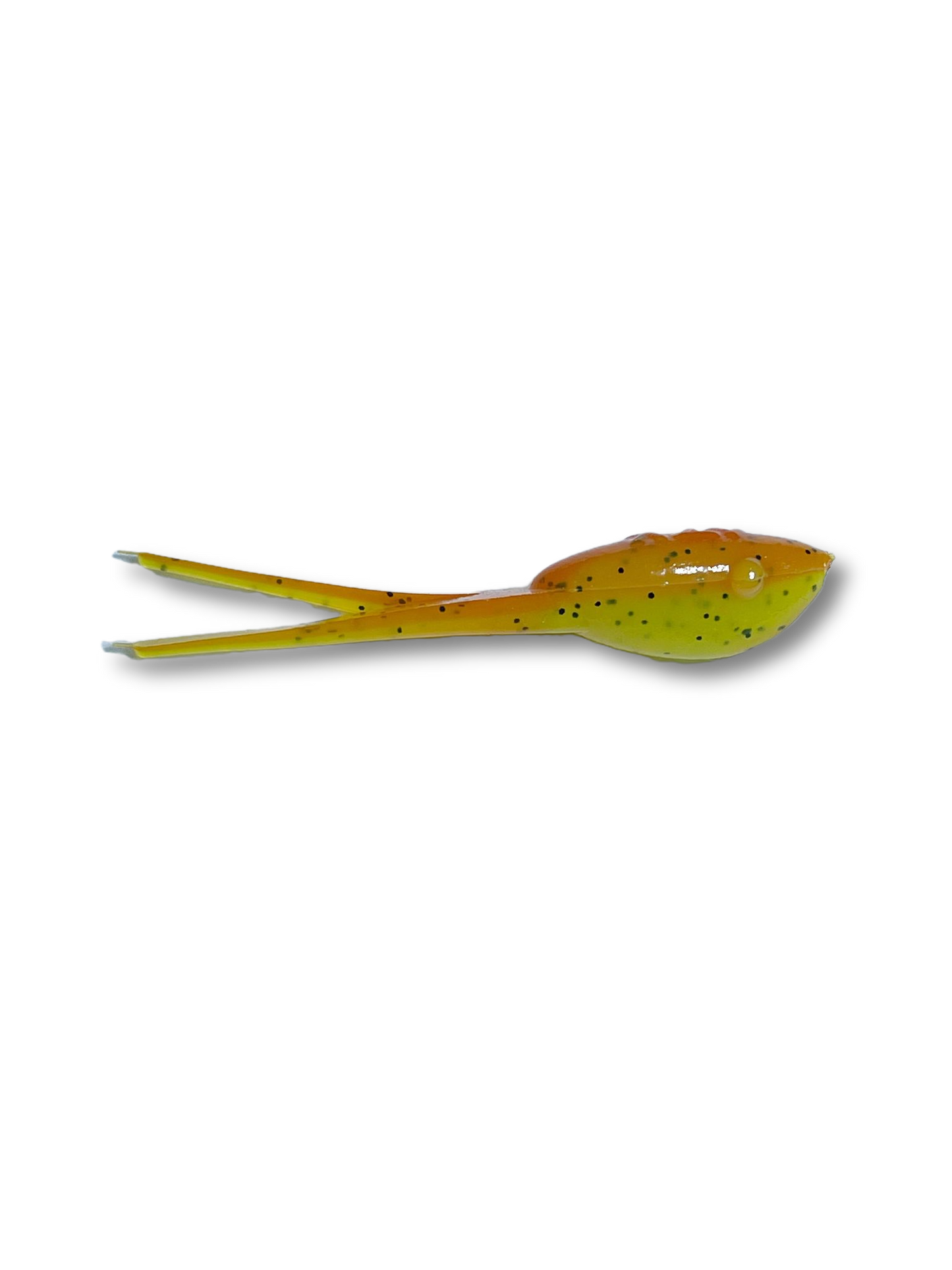 Wicked Shad - Korvel