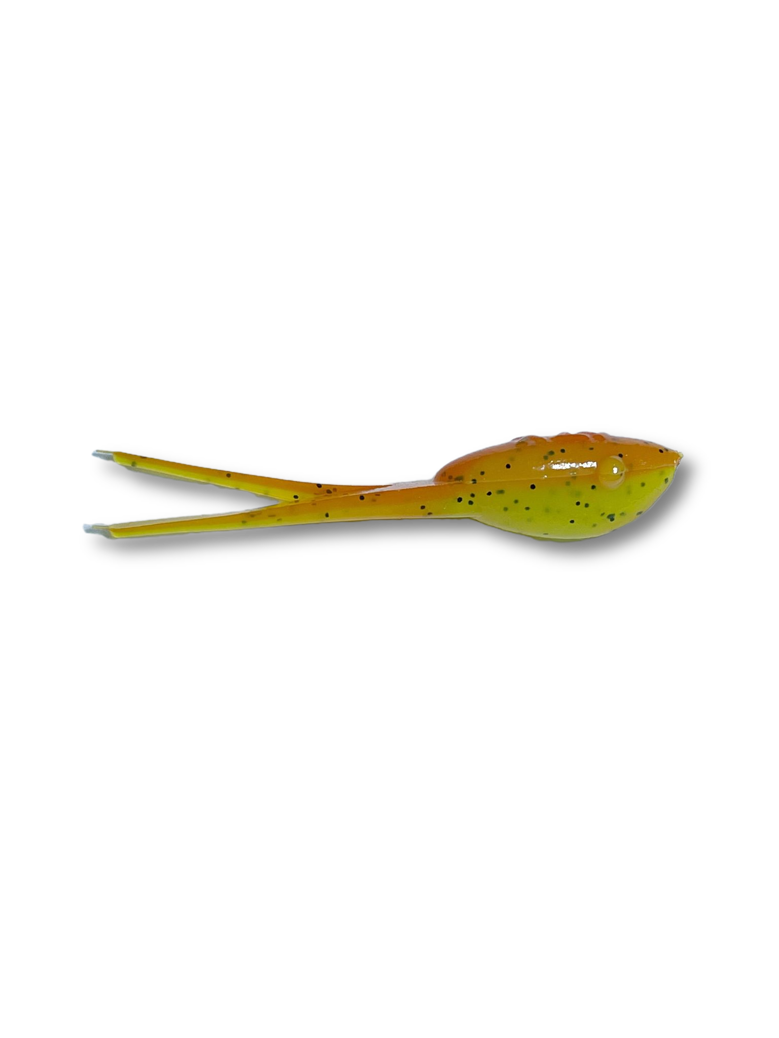 Wicked Shad - Korvel