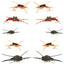 Colección Basics - Surtido de ninfas Stonefly de Kaufmann - 10 moscas húmedas con cabeza de cuenta y patas de goma - 5 patrones - Tamaños de anzuelo 4, 6, 8, 10 y 12 
