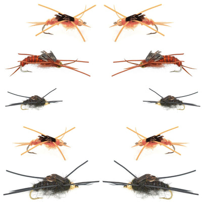 Basics Collection - Kaufmann's Stonefly Nymph Assortment - 10 Bead Head Rubber Legs Wet Flies - 5 Patterns - Hook Sizes 4, 6, 8, 10, and 12