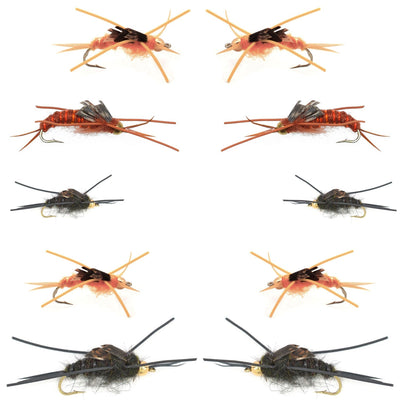 Kaufmann's Tungsten Bead Stonefly Nymph Assortment - Premium Wet Flies for Anglers - 10 Bead Head Patterns in Multiple Sizes - Korvel