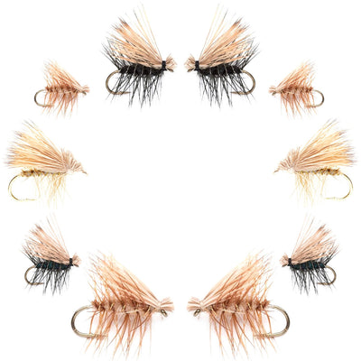 Elk Hair Caddis Dry Fly Assortment - 10 Premium Fishing Flies in 5 Patterns - Korvel