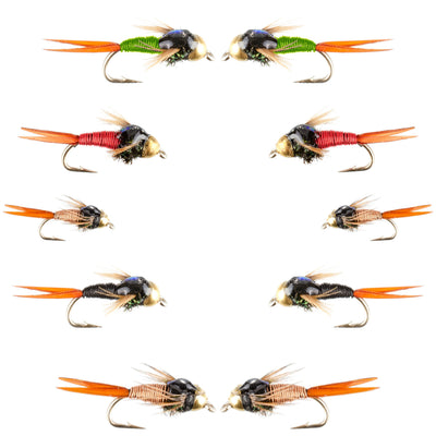 Essential Fly Fishing Collection - Copper John Beadhead Assortment - 10 Premium Wet Flies - 5 Versatile Patterns - Hook Sizes 14, 16, 18 - Korvel