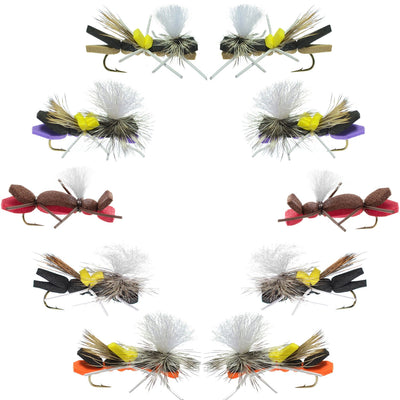 Ultimate Parachute Chernobyl Ant Foam Dry Fly Set - 10 Premium Grasshopper Dropper Flies - 5 Distinct Patterns - Size 10 Hooks - Korvel