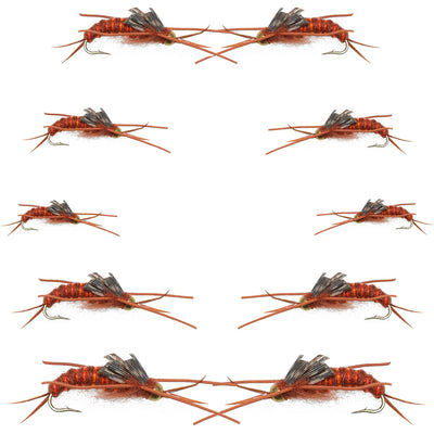 Kaufmann's Premium Brown Stonefly Nymph Assortment - Bead Head Rubber Legs Wet Flies (Sizes 6, 8, 10, 12) - Korvel