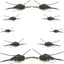 Kaufmann's Premium Black Stonefly Nymph Set - 10 Bead Head Rubber Legs Wet Flies - Assorted Hook Sizes 4 to 12 - Korvel