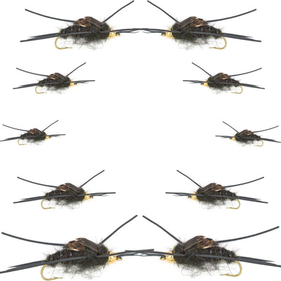 Kaufmann's Premium Black Stonefly Nymph Set - 10 Bead Head Rubber Legs Wet Flies - Assorted Hook Sizes 4 to 12 - Korvel
