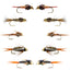 Basics Collection - Tungsten Bead Head Nymph Assortment - 10 Wet Flies - 5 Patterns - Hook Sizes 10, 12, 14, 16 - Korvel