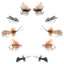 Ultimate Caddis Dry Fly Set - 10 Essential Patterns for Every Angler - Sizes 12 to 18 - Korvel
