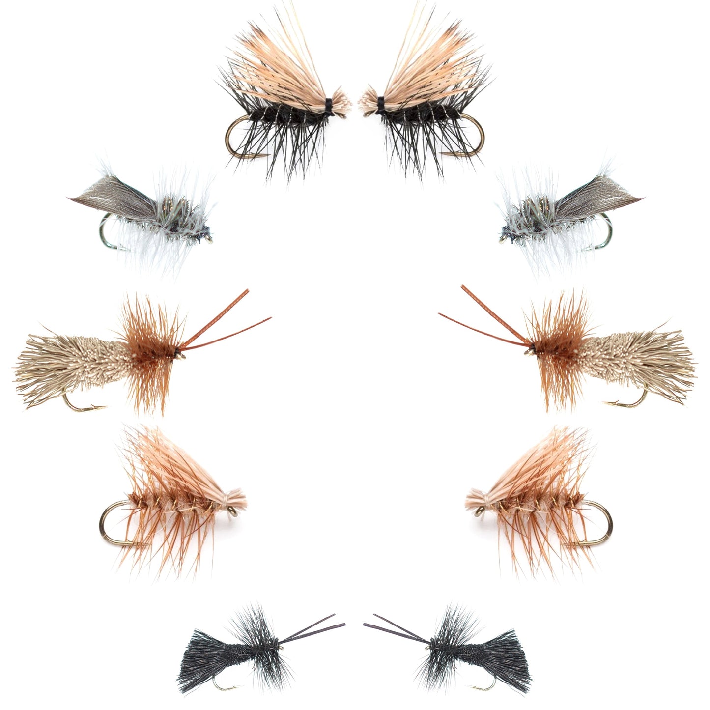 Ultimate Caddis Dry Fly Set - 10 Essential Patterns for Every Angler - Sizes 12 to 18 - Korvel