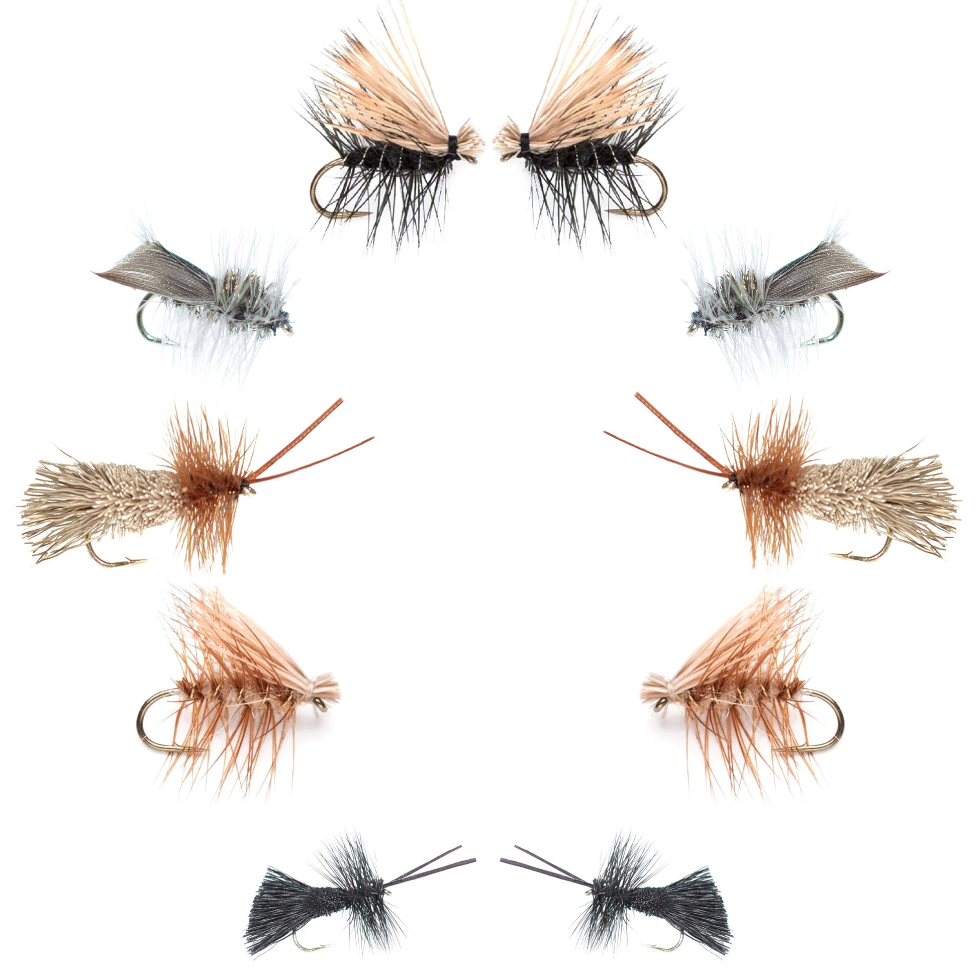 Ultimate Caddis Dry Fly Set - 10 Essential Patterns for Every Angler - Sizes 12 to 18 - Korvel