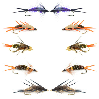 Basics Collection - Double Bead Head Nymph Assortment - 10 Wet Flies - 5 Patterns - Hook Size 12