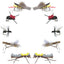 Essential Terrestrial Dry Fly Set - 10 Premium Fishing Flies for Trout and Bass - Korvel