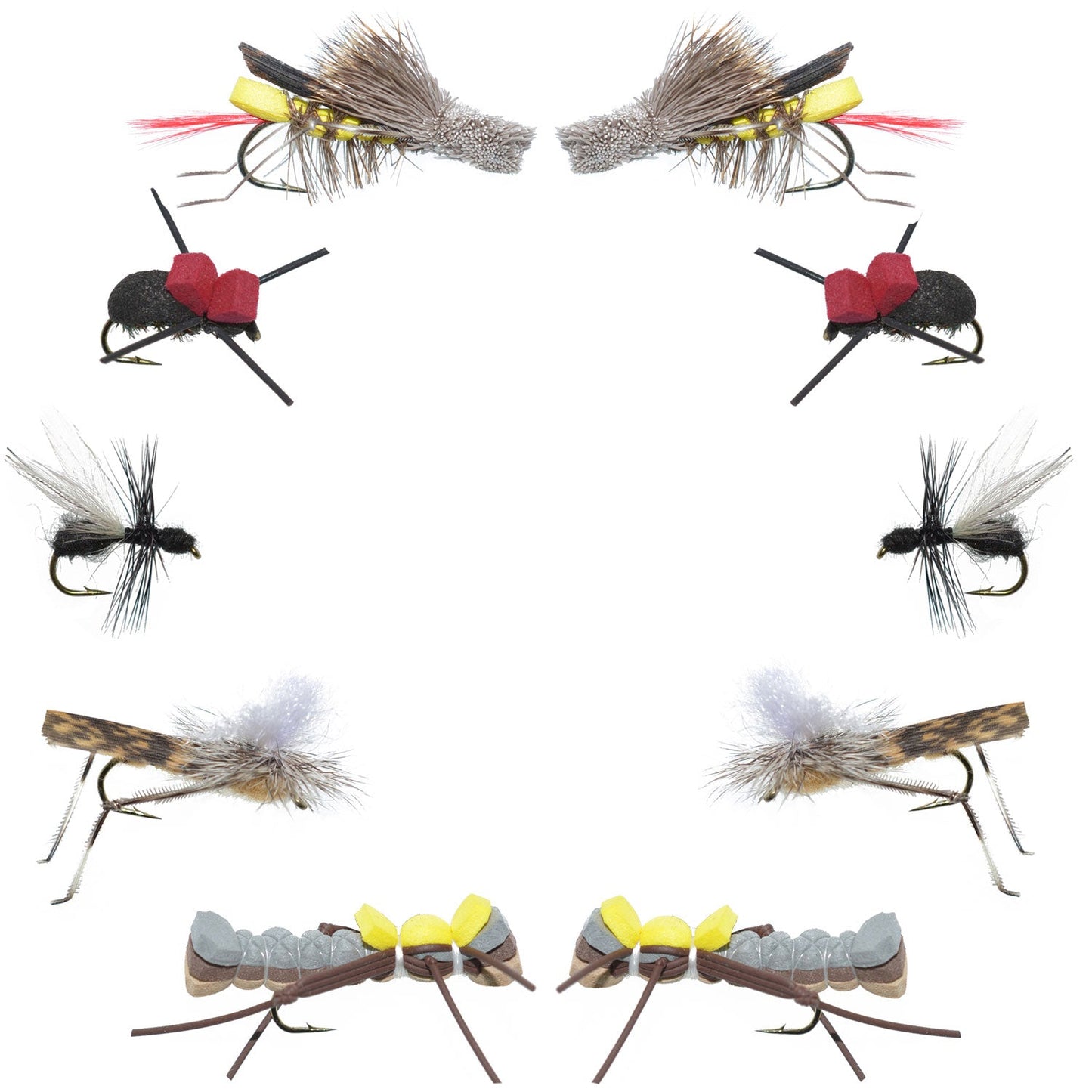 Essential Terrestrial Dry Fly Set - 10 Premium Fishing Flies for Trout and Bass - Korvel
