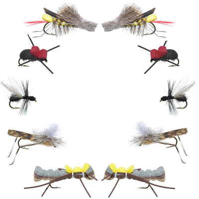 Essential Terrestrial Dry Fly Set - 10 Premium Fishing Flies for Trout and Bass - Korvel
