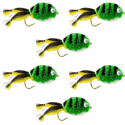 Premium Frog Bass Fly Fishing Set - 6 Wide Gape Hooks with Weed Guard - Korvel