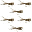 Premium Deer Hair & Grizzly Bass Popper Flies - Size 8 (Pack of 6) - Korvel