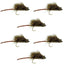 Premium Deer Hair Scruffy Rat Flies - Size 2 for Bass Fishing - Korvel