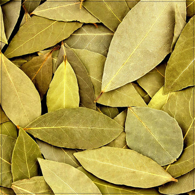 Hojas de Laurel Secas Premium para la Excelencia Culinaria