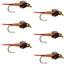 Bead Head Copper John Nymph Fly Fishing Flies - Set of 6 Flies Hook Size 16
