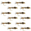 Premium Barbless Gold Ribbed Hare's Ear Nymphs - 12 Pack, Size 10 - Korvel