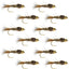 Barbless Bead Head Gold Ribbed Hare's Ear Nymph 1 Dozen Flies Hook Size 12