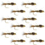 Premium Gold Ribbed Hare's Ear Nymph Flies - 12 Pack, Size 18 - Korvel