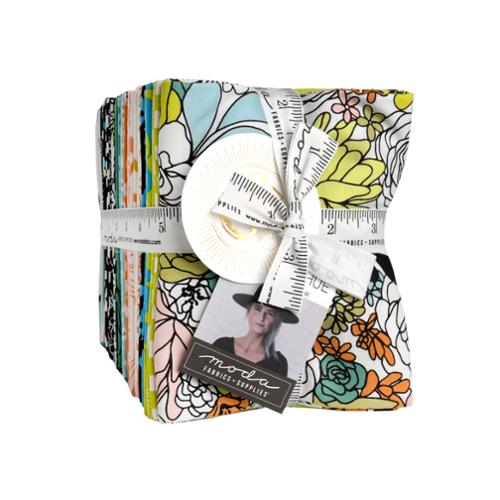 True To Hue AB Fat Quarter - Conjunto variado de 42 piezas