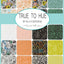 True To Hue AB Fat Quarter - Conjunto variado de 42 piezas
