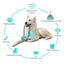 Silicone Suction Cup Dog Toy