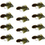 Big Eye Olive Sculpin Streamer Flies - 1 Dozen Bass and Trout Fly Fishing Flies - Hook Size 2 - Korvel