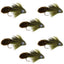 Big Eye Olive Sculpin Streamer Flies - 6 Bass and Trout Fly Fishing Flies - Hook Size 2 - Korvel