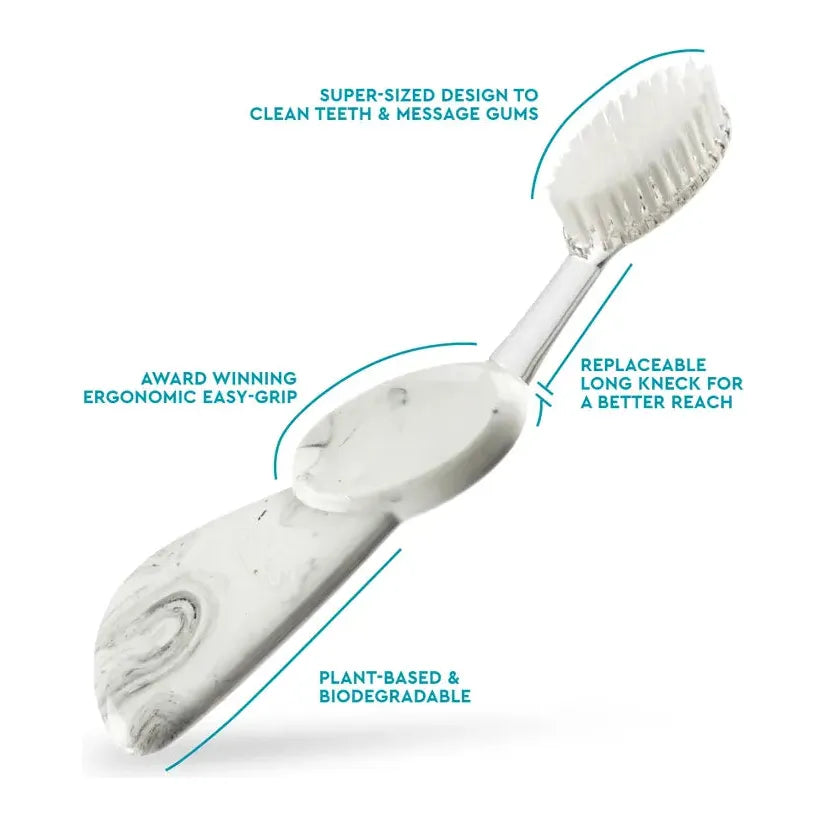 Radius Big Brush Replaceable Soft Head Toothbrush - Assorted Colors