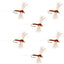 Rusty Spinner Z-Lon Wing Biot Body Flies - Size 14 (Pack of 6)