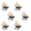 Premium Black Elk Hair Caddis Dry Flies - 6 Pack Size 12 - Korvel