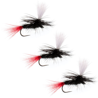 Pack de 3 Mouches Sèche Parachute Noir Gnat Queue Rouge Sans Épines - Taille 16