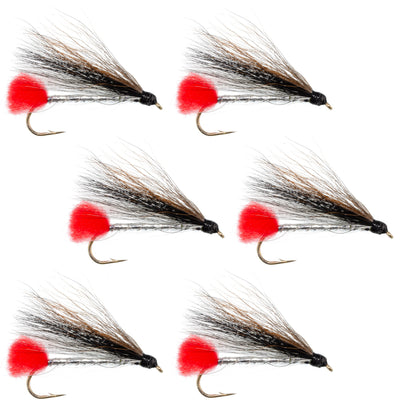 Premium Black Nose Dace Streamer Flies - Set of 6 (Size 4) - Korvel