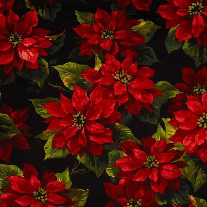 Tela de algodón Black Scarlet Poinsettia Wideback - Calidad Premium