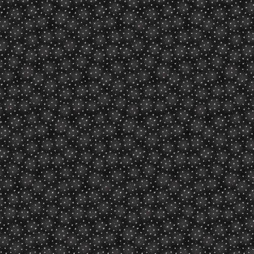 Black Starlet Cotton Wideback Fabric - Premium Quality